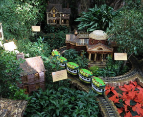 Японский сад в помещении, Студия &quot;флорентина&quot;, Спб