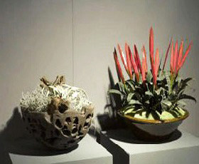 Комнатные растения для интерьера в японском стиле
