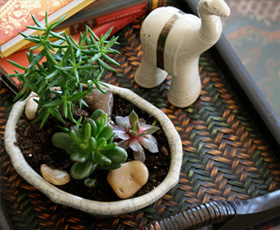 Комнатные растения для интерьера в китайском стиле