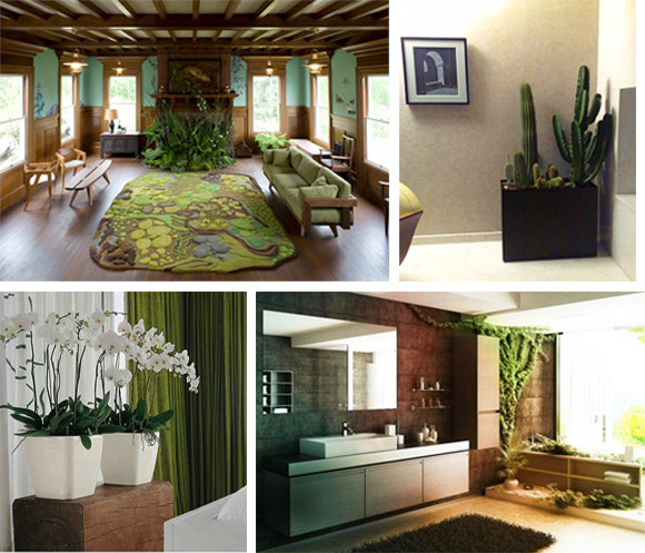 дизайн интерьера, комнатные растения, фитодизайн