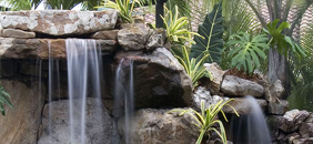 создать уголок природы с водоемом, водопадом в помещении, в зимнем саду