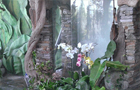 Зимний сад с водоемом в частном доме, спб