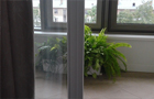 оформление растениями балкона